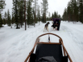 202603_HuskySchlitten-018
