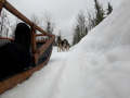202603_HuskySchlitten-020