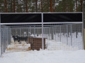 202603_HuskySchlitten-040