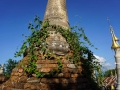 Shwe Inn Thein_Inle Lake_Oct_2017 -069