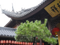 202610_Jadebuddhatempel-050