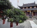 202610_Jadebuddhatempel-096