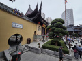 202610_Jadebuddhatempel-127