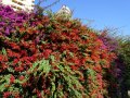 valencia-turia-052