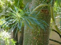 2023Marrakesh_JardinSecret-063