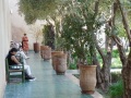 2023Marrakesh_JardinSecret-071