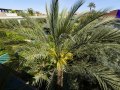 2023Marrakesh_JardinSecret-099