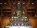202610_JingAnShanghai-014