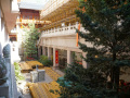 202610_JingAnShanghai-051