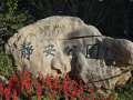 202610_JingAnShanghai-103