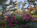 202610_JingAnShanghai-123