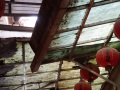202504_1Jiufen-023