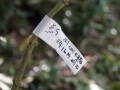 202504_1Jiufen-191
