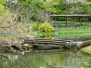 Kaisergarten Tokyo