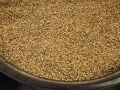 202504_Kavalan-013