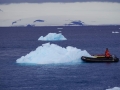 Jan2020_KinnesCove_Antarctic-003