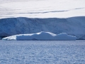 Jan2020_KinnesCove_Antarctic-019