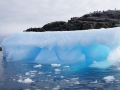 Jan2020_KinnesCove_Antarctic-055