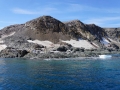 Jan2020_KinnesCove_Antarctic-198