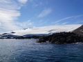 Jan2020_KinnesCove_Antarctic-200
