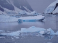 Jan2020_LemaireChannel_Antarctic-044