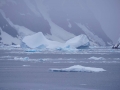 Jan2020_LemaireChannel_Antarctic-051