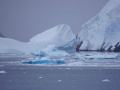 Jan2020_LemaireChannel_Antarctic-054