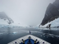 Jan2020_LemaireChannel_Antarctic-059