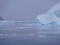 Jan2020_LemaireChannel_Antarctic-062