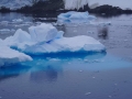 Jan2020_LemaireChannel_Antarctic-083