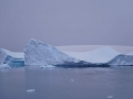 Jan2020_LemaireChannel_Antarctic-086