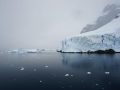 Jan2020_LemaireChannel_Antarctic-087