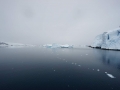 Jan2020_LemaireChannel_Antarctic-088