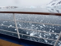Jan2020_LemaireChannel_Antarctic-098