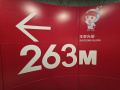 202610_Lujiazui-269
