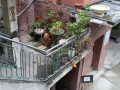 202610_M50Shanghai-051