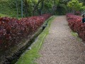 202504_2MapleGarden-010