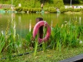 202504_2MapleGarden-012