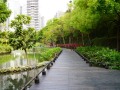 202504_2MapleGarden-020