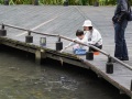 202504_2MapleGarden-023