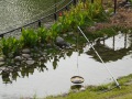 202504_2MapleGarden-041