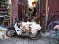 2023Marrakesh-Souk-054