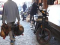 2023Marrakesh-Souk-092