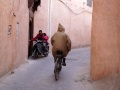 2023Marrakesh-Souk-133