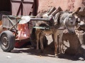2023Marrakesh-Souk-170