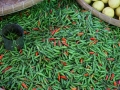 Mingalar Market Nyaung Shwe Inle Lake Oct_2017 -047