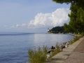 202310_castlemiramare-069