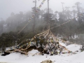 Mongar-Bumthang-2019-131