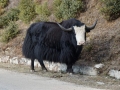 Mongar-Bumthang-2019-163