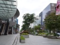 202402_Orchard-011